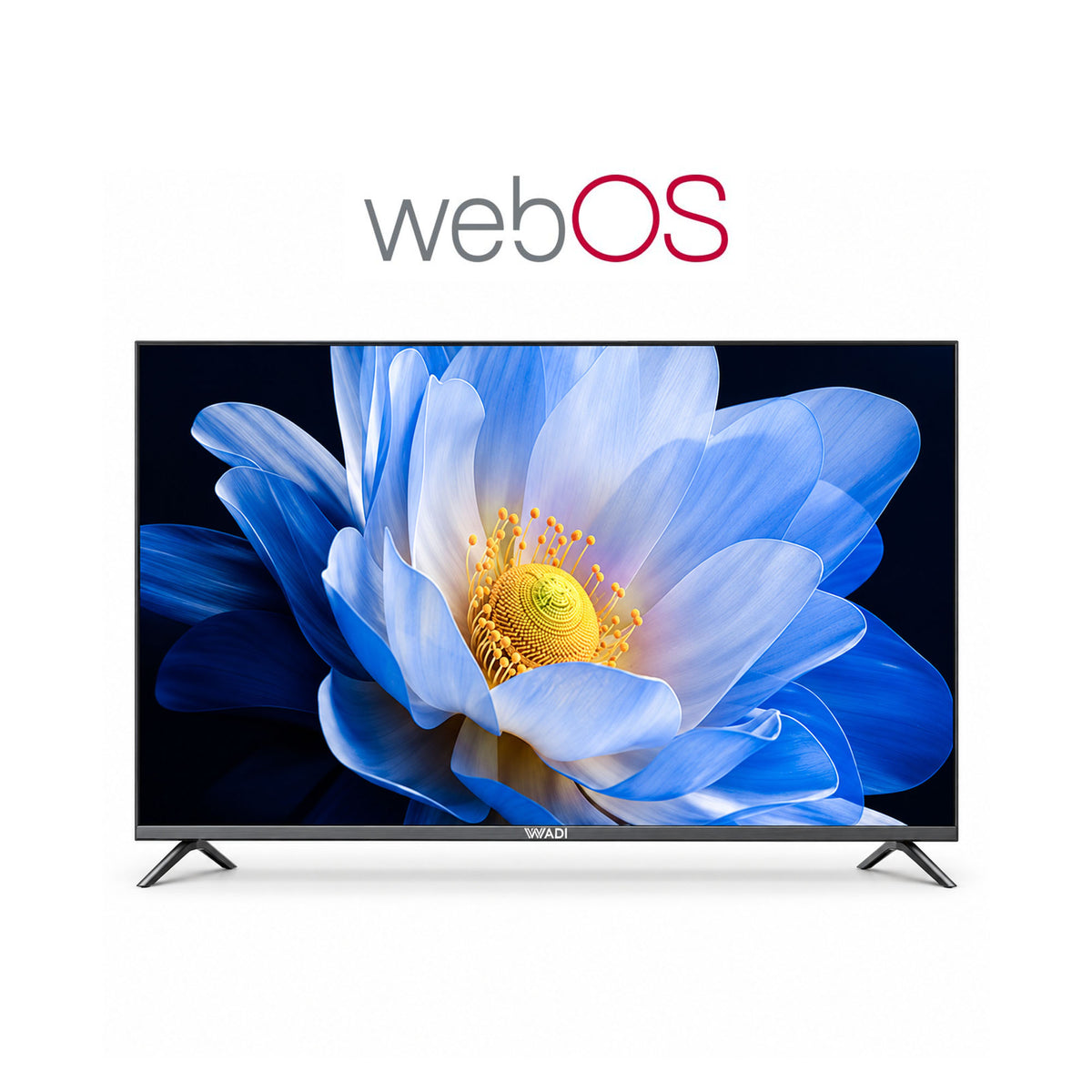 شاشة سمارت 100 - WebOS